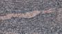Himalayan Headstone Prices