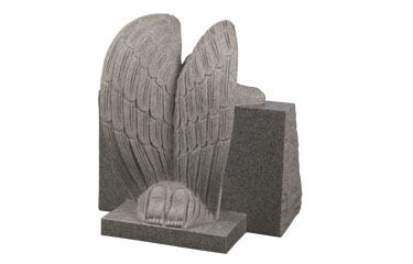 Back View
