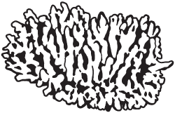 Clipart Image For Headstone Monument ocean 01