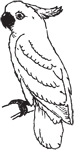 Clipart Image For Headstone Monument Bird 06