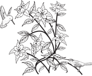 Clipart Image For Headstone Monument Bird 09