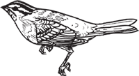 Clipart Image For Headstone Monument Bird 10