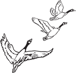 Clipart Image For Headstone Monument Bird 24