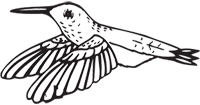 Clipart Image For Headstone Monument Bird 28