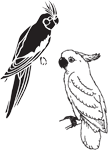 Clipart Image For Headstone Monument Bird 35