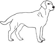 Clipart Image For Headstone Monument Dog 15