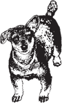 Clipart Image For Headstone Monument Dog 30