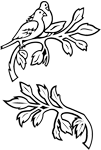 Clipart Image For Headstone Monument Dove 08