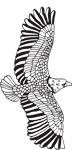 Clipart Image For Headstone Monument Eagle 06