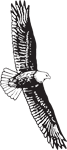 Clipart Image For Headstone Monument Eagle 14
