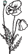Clipart Image For Headstone Monument flower 01