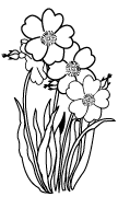 Clipart Image For Headstone Monument flower 02