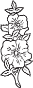 Clipart Image For Headstone Monument flower 05