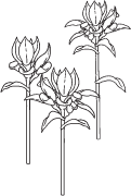 Clipart Image For Headstone Monument flower 06