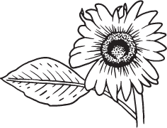 Clipart Image For Headstone Monument flower 09