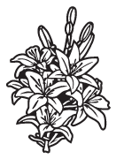 Clipart Image For Headstone Monument flower 21