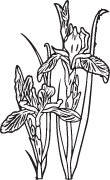 Clipart Image For Headstone Monument flower 33