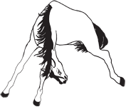 Clipart Image For Headstone Monument Horse 11