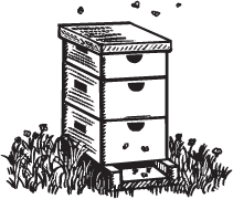 Clipart Image For Headstone Monument insect 14
