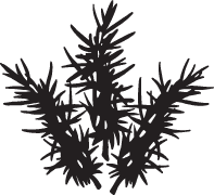 Clipart Image For Headstone Monument plant 05