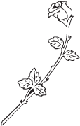 Clipart Image For Headstone Monument rose 03