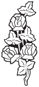 Clipart Image For Headstone Monument rose 10