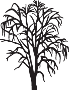 Clipart Image For Headstone Monument tree 07