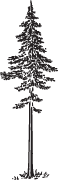 Clipart Image For Headstone Monument tree 11