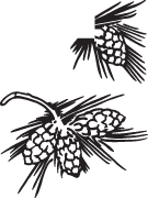 Clipart Image For Headstone Monument tree 16